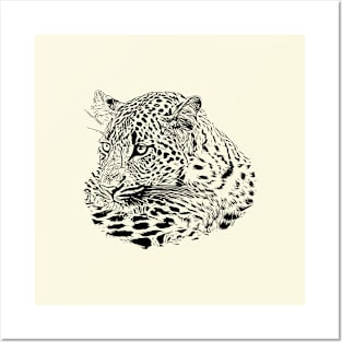 Leopard Posters and Art